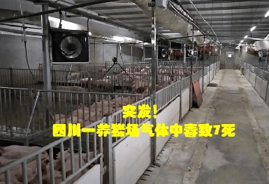 四川一养猪场发生化粪池气体中毒事故，逸云天气体检测仪守护安全